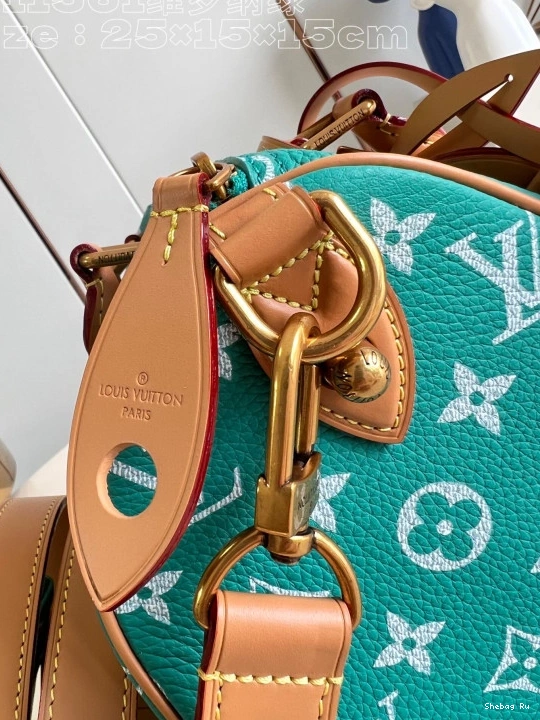 Vuitton 25 SPEEDY Louis 0810